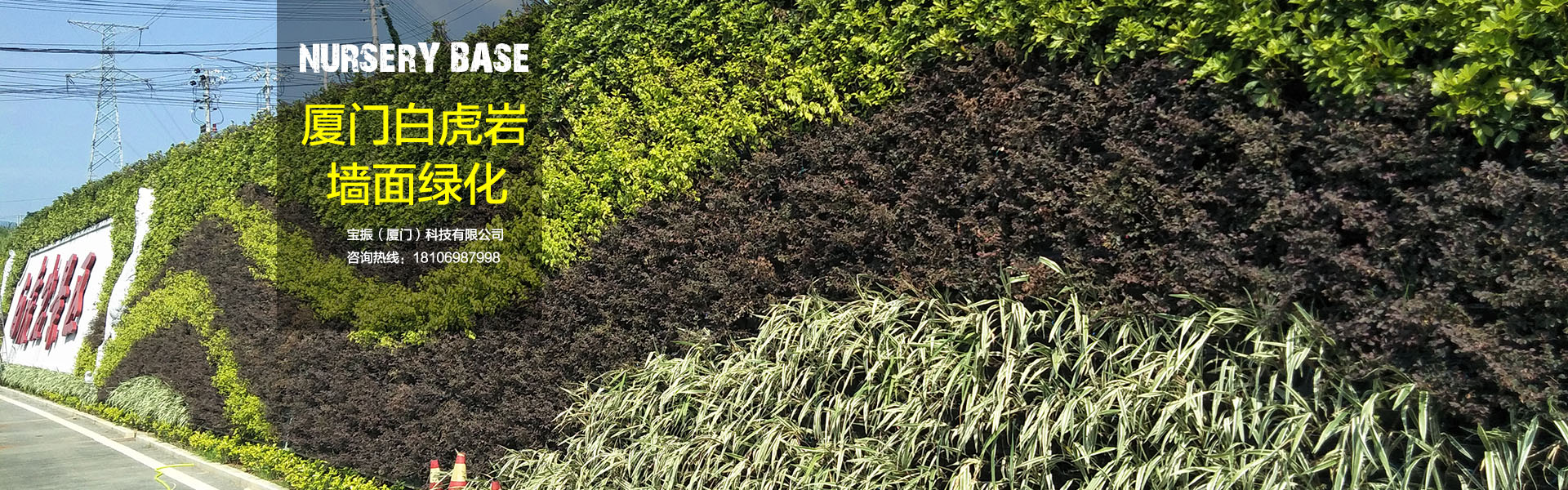 廈門(mén)白虎巖成品墻面立體綠化